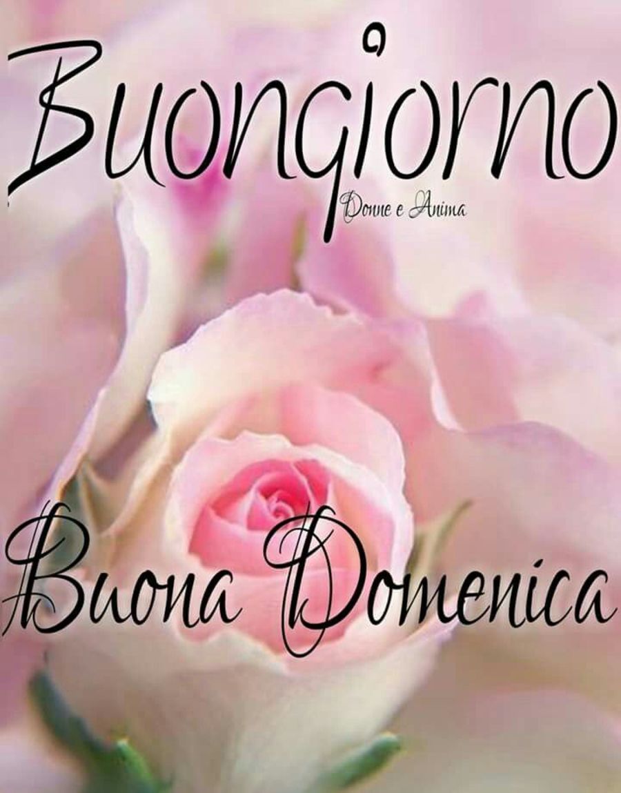 Buona Domenica amore mio 3