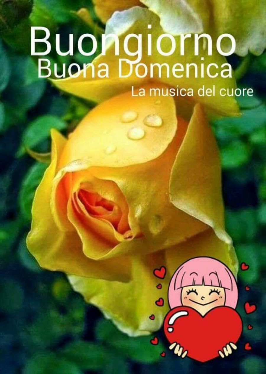 Buona Domenica belle immagini 2236