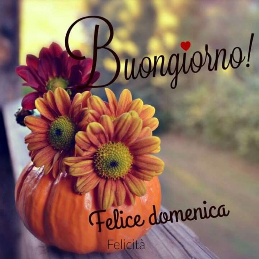 Buona Domenica bellissima 9107