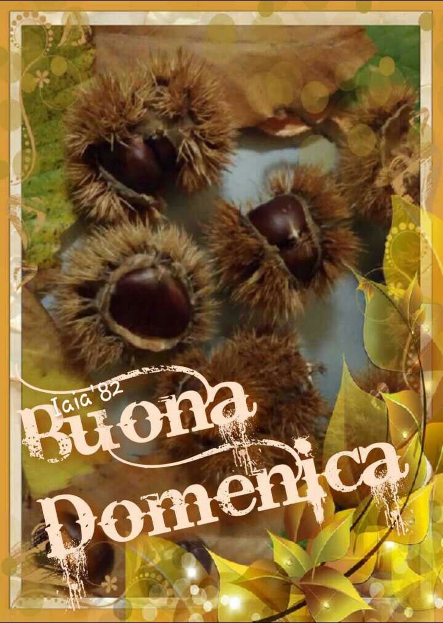 Buona Domenica buongiorno a tutti 9627