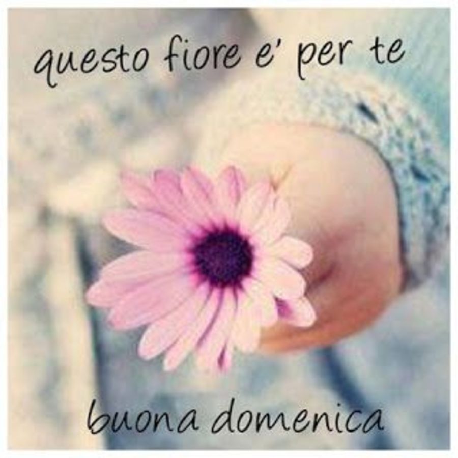 Buona Domenica buongiorno a tutti 9883