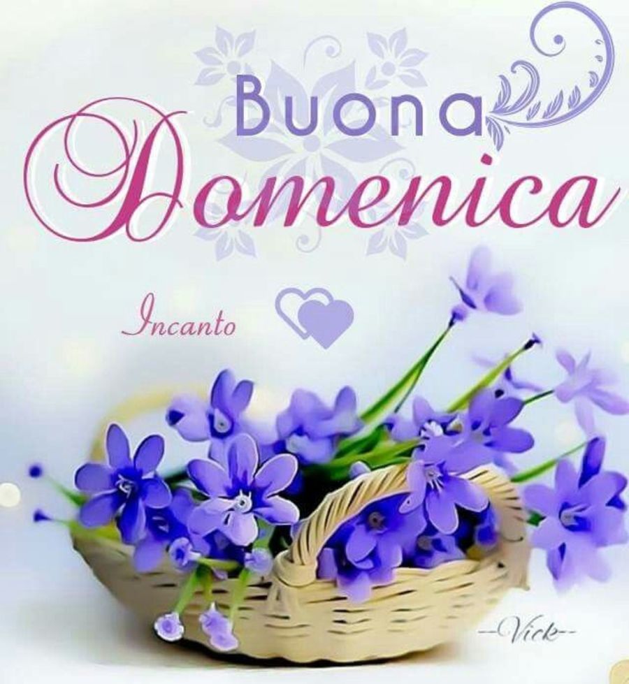 Risultati immagini per Buongiorno domenica