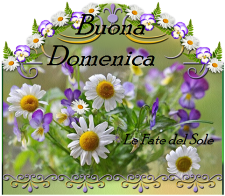 Buona Domenica con frase 769