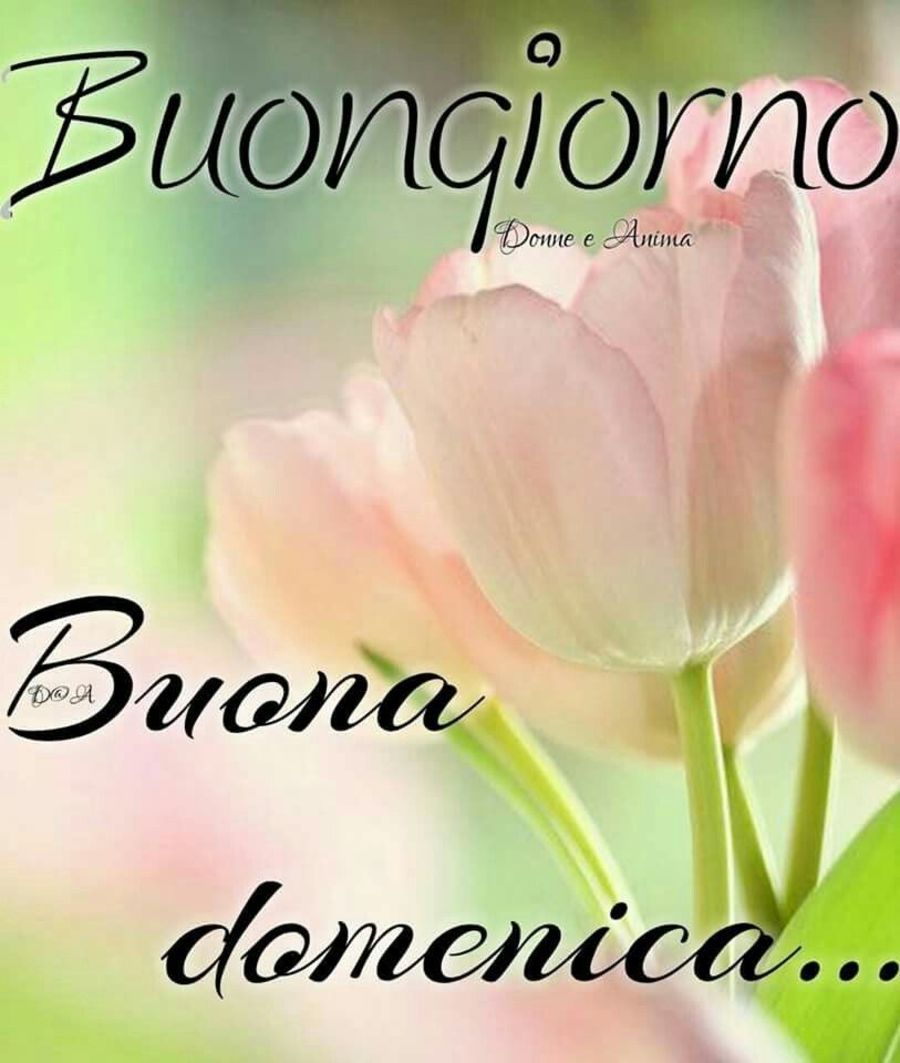 Buona Domenica immagini 1827