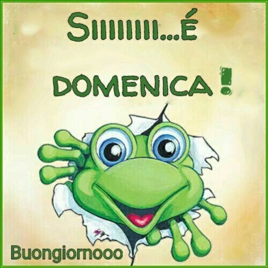 Buona Domenica immagini WhatsApp 365