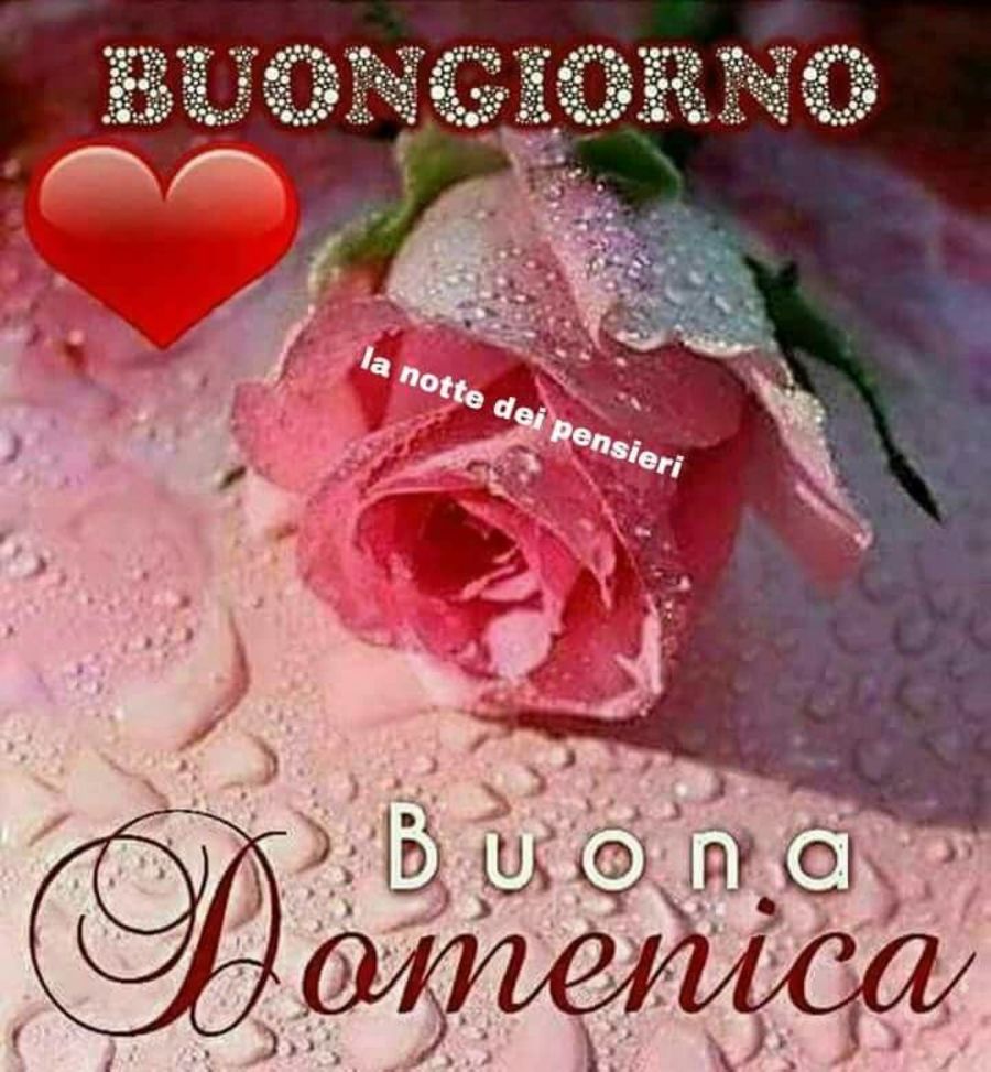 Buona Domenica immagini nuovissime 9030