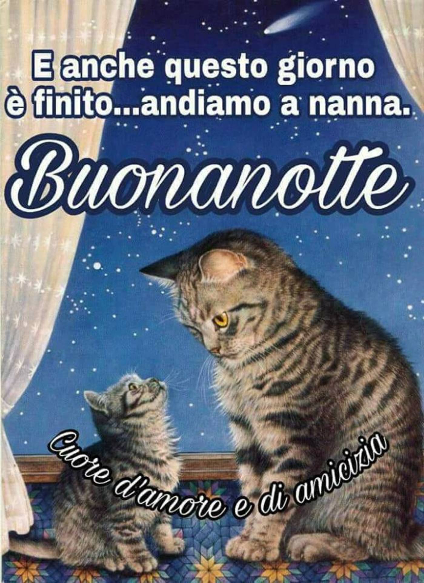 Immagini buonanotte per amici 3557