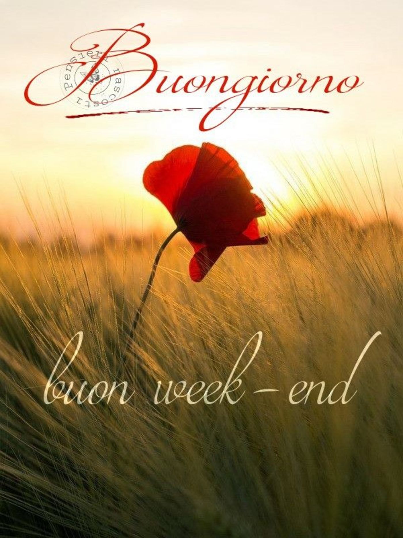 Buon Weekend amici immagini 8057