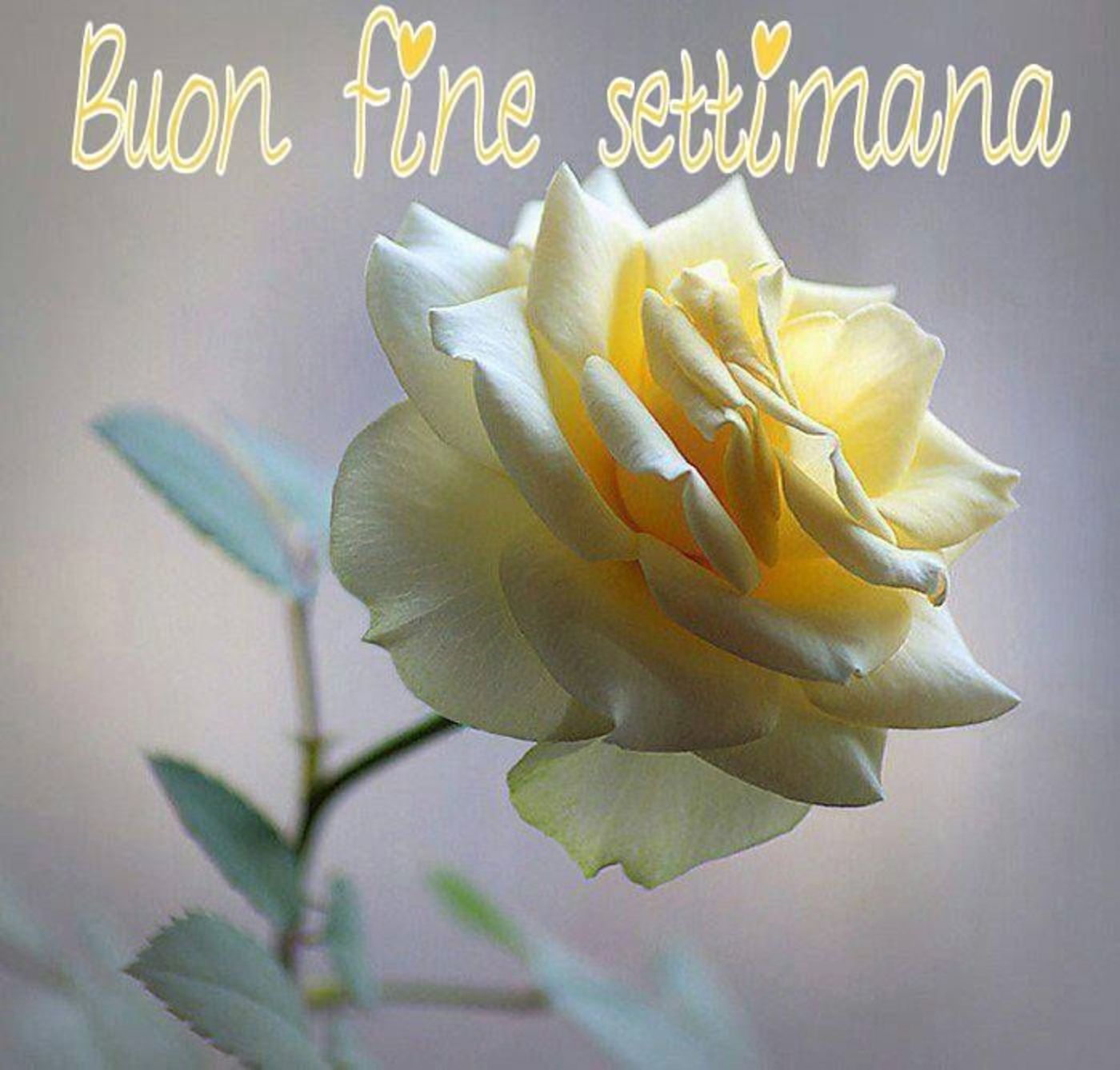 Buon Weekend frasi divertenti 625