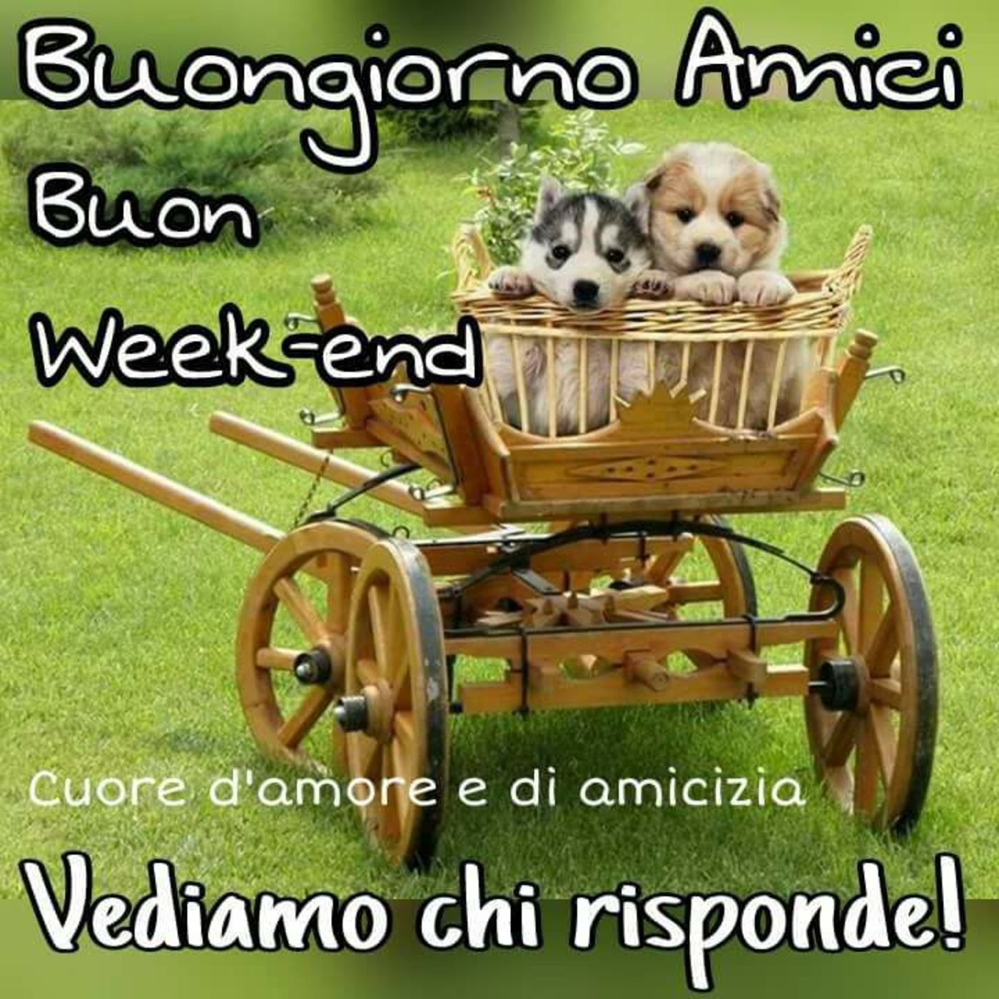 Buon Weekend immagini bellissime 3681