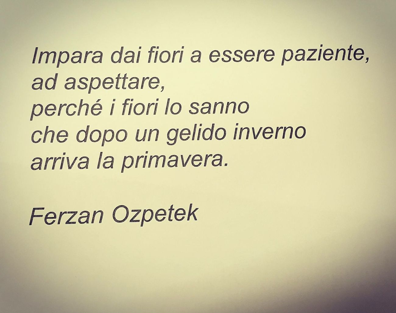 Le Frasi più belle 3247