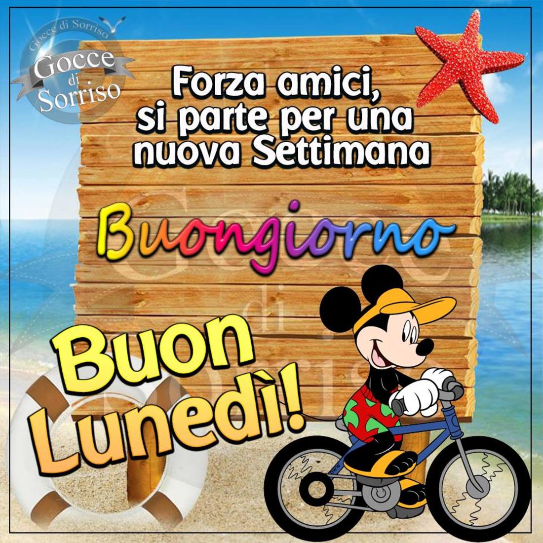 Buon Lunedì WhatsApp 4678