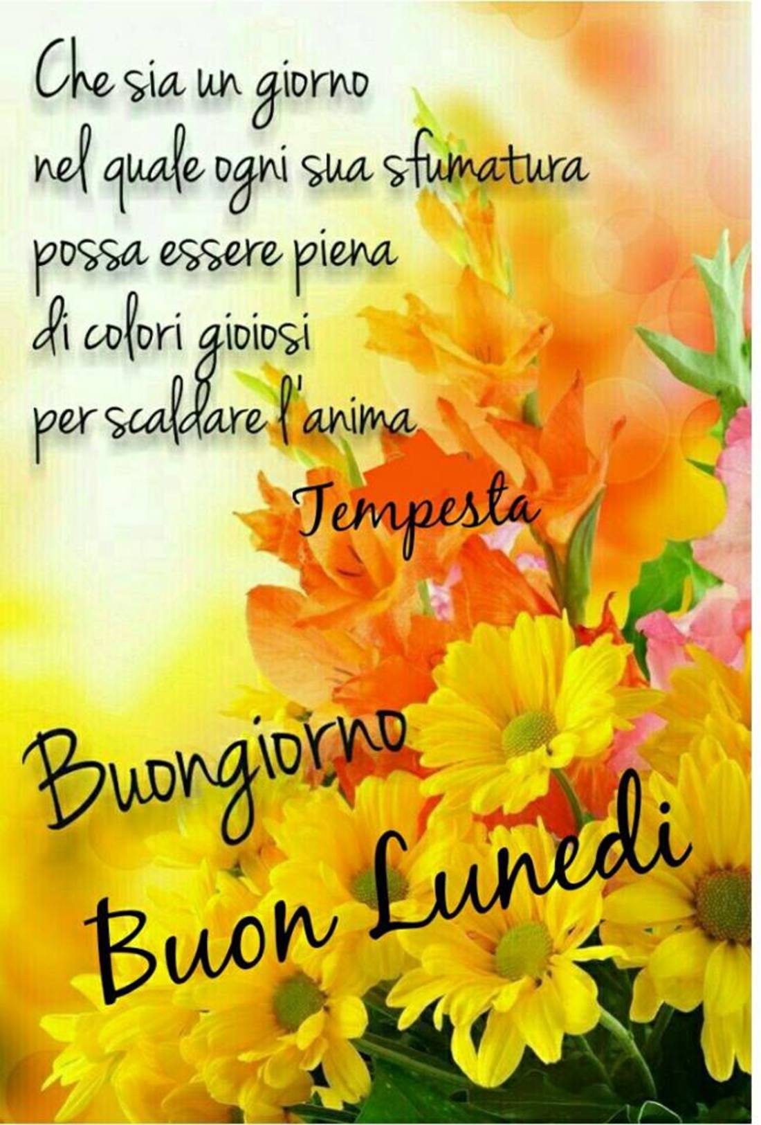 Buon Lunedì WhatsApp 4971