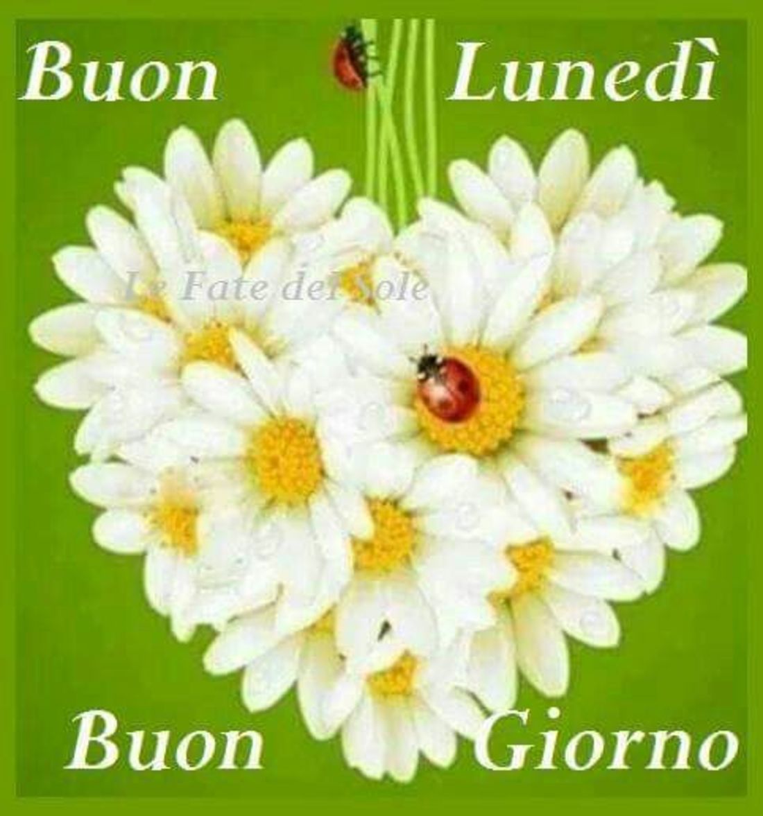 Buon Lunedì frasi 3441