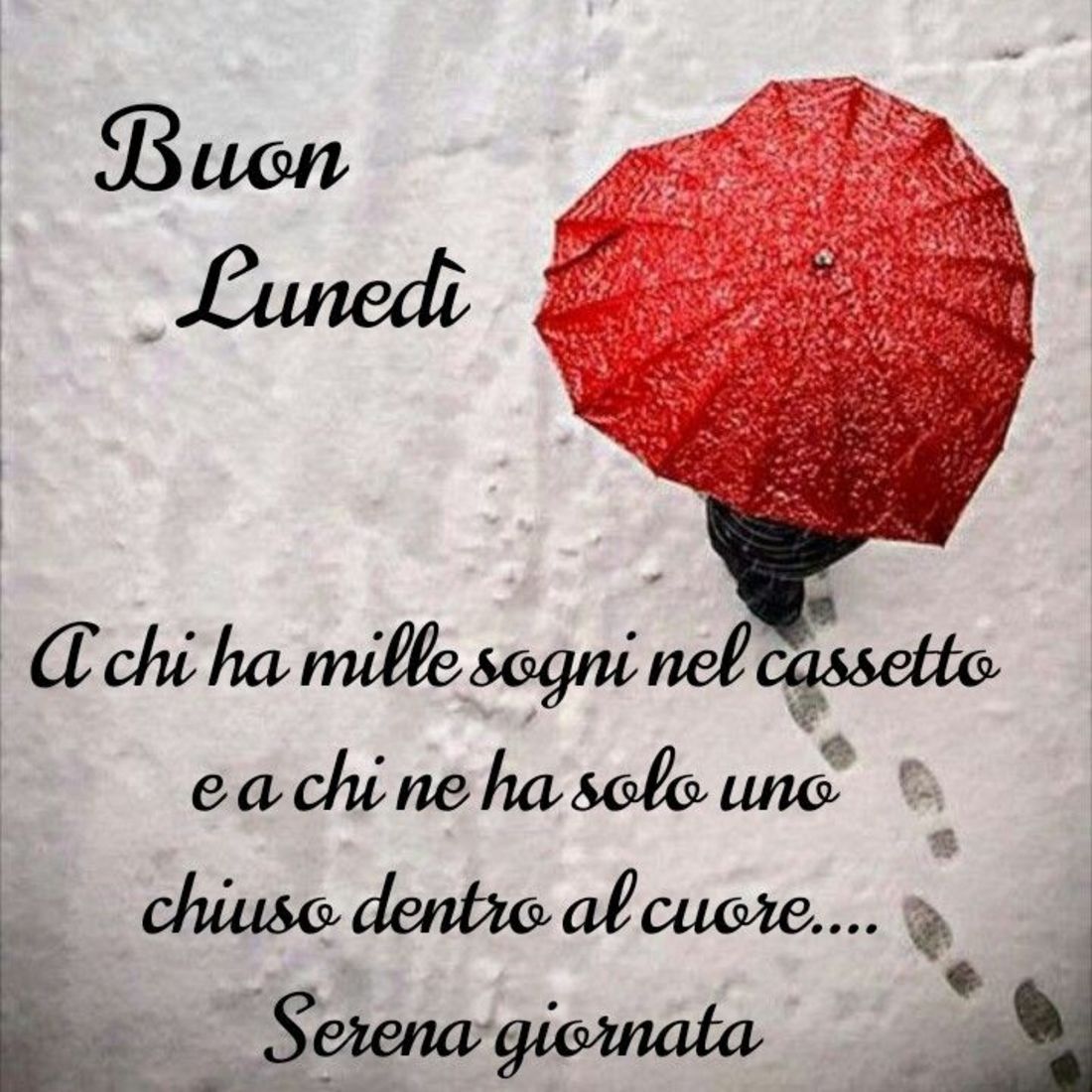 Buon Lunedì immagini con frasi