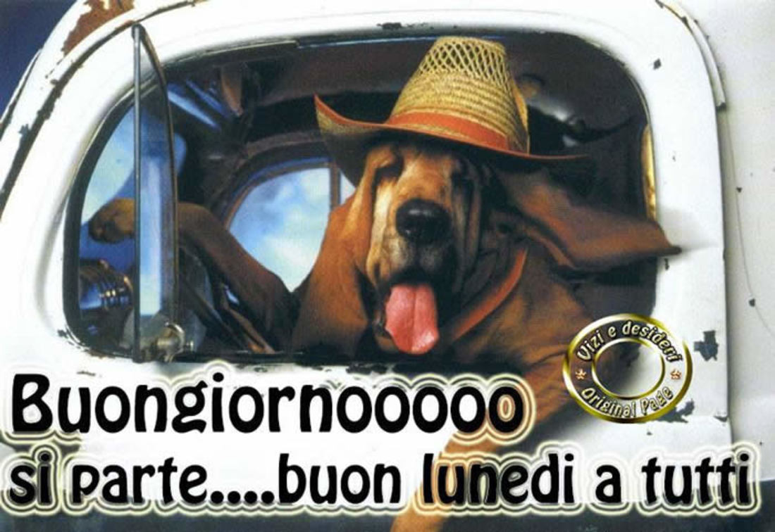 Buon Lunedì immagini simpatiche