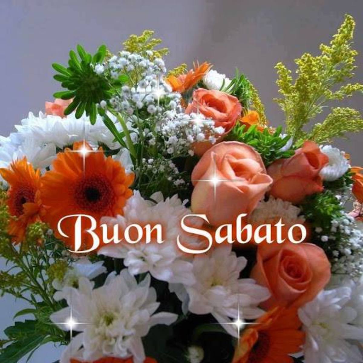 Buon Sabato Buongiorno immagini bellissime 3392