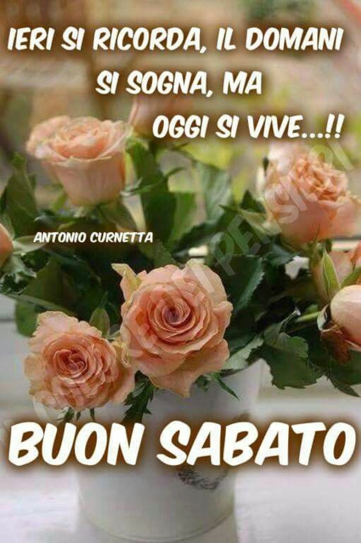 Buon Sabato buongiorno immagini nuove 5918