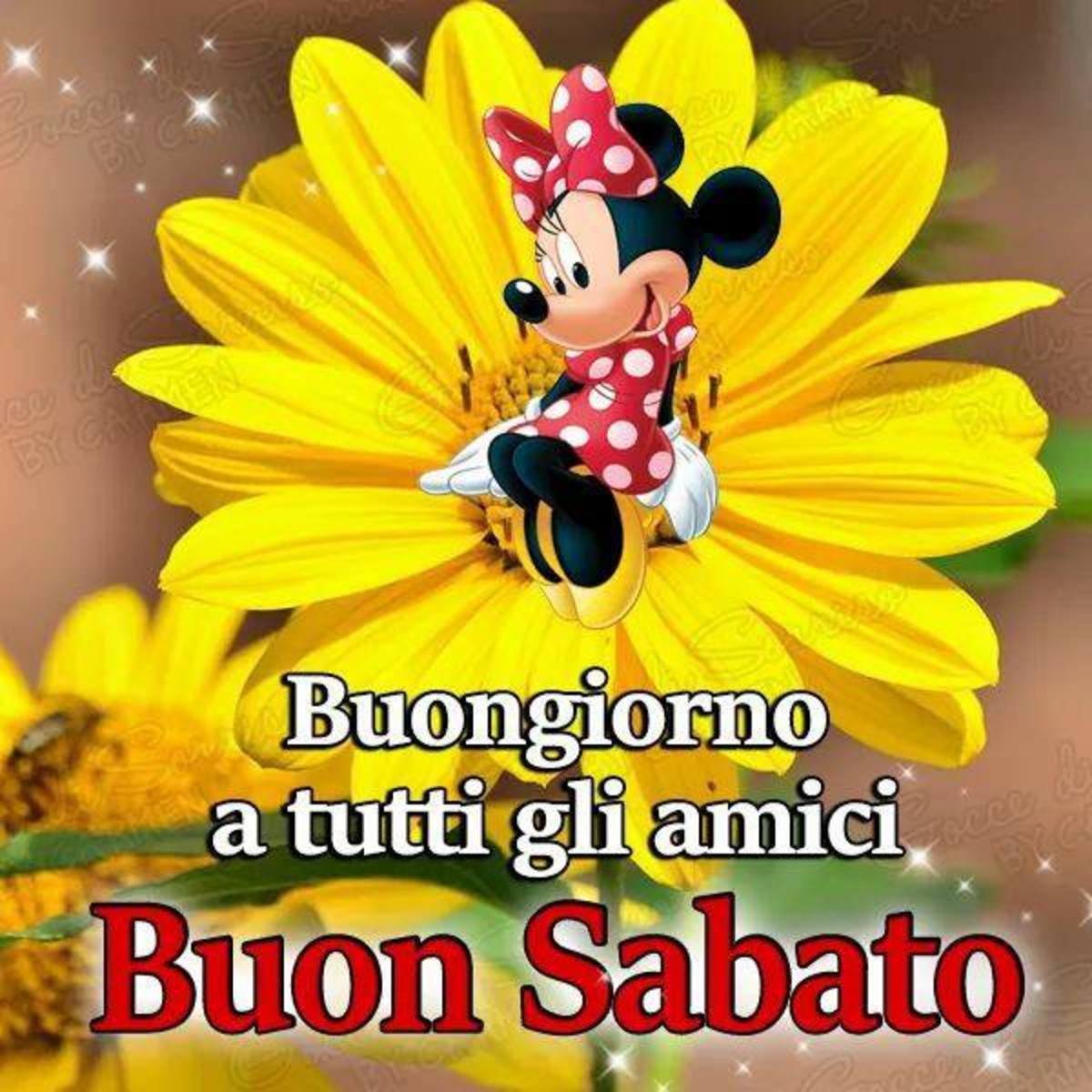 Buon Sabato immagini nuove Pinterest 8609