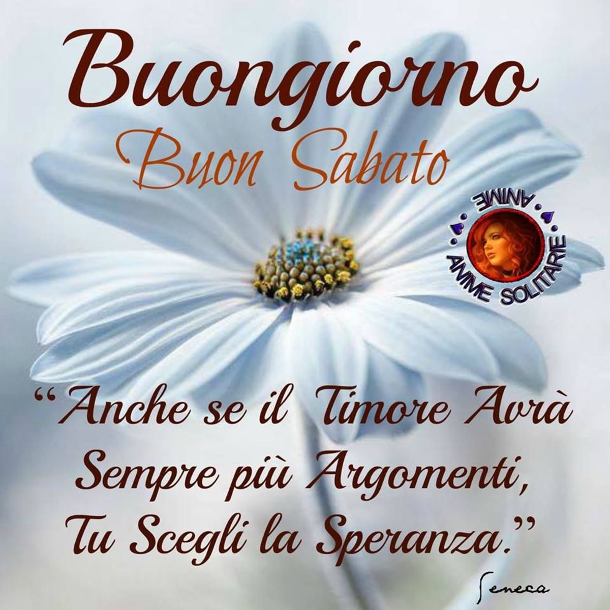 Buon Sabato immagini per Gruppi Facebook 9639