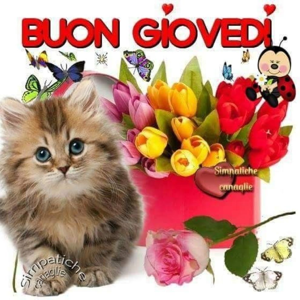 Buon Giovedì Buongiorno 275 - BuongiornissimoCaffe.it