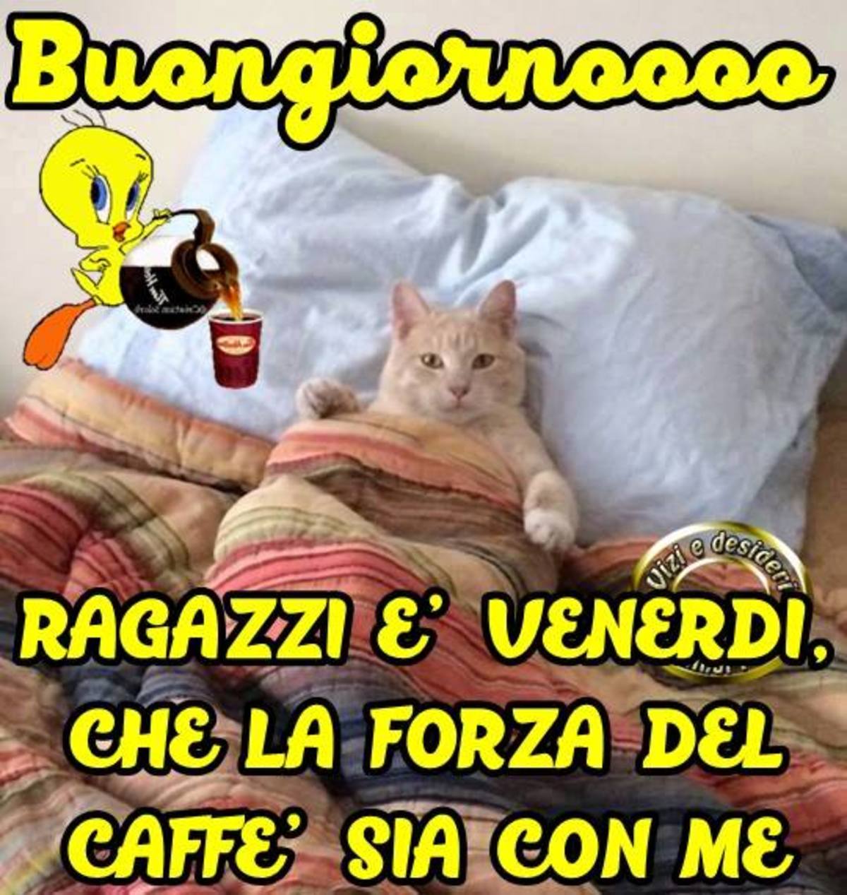 Buon Venerdì Buongiorno 2664