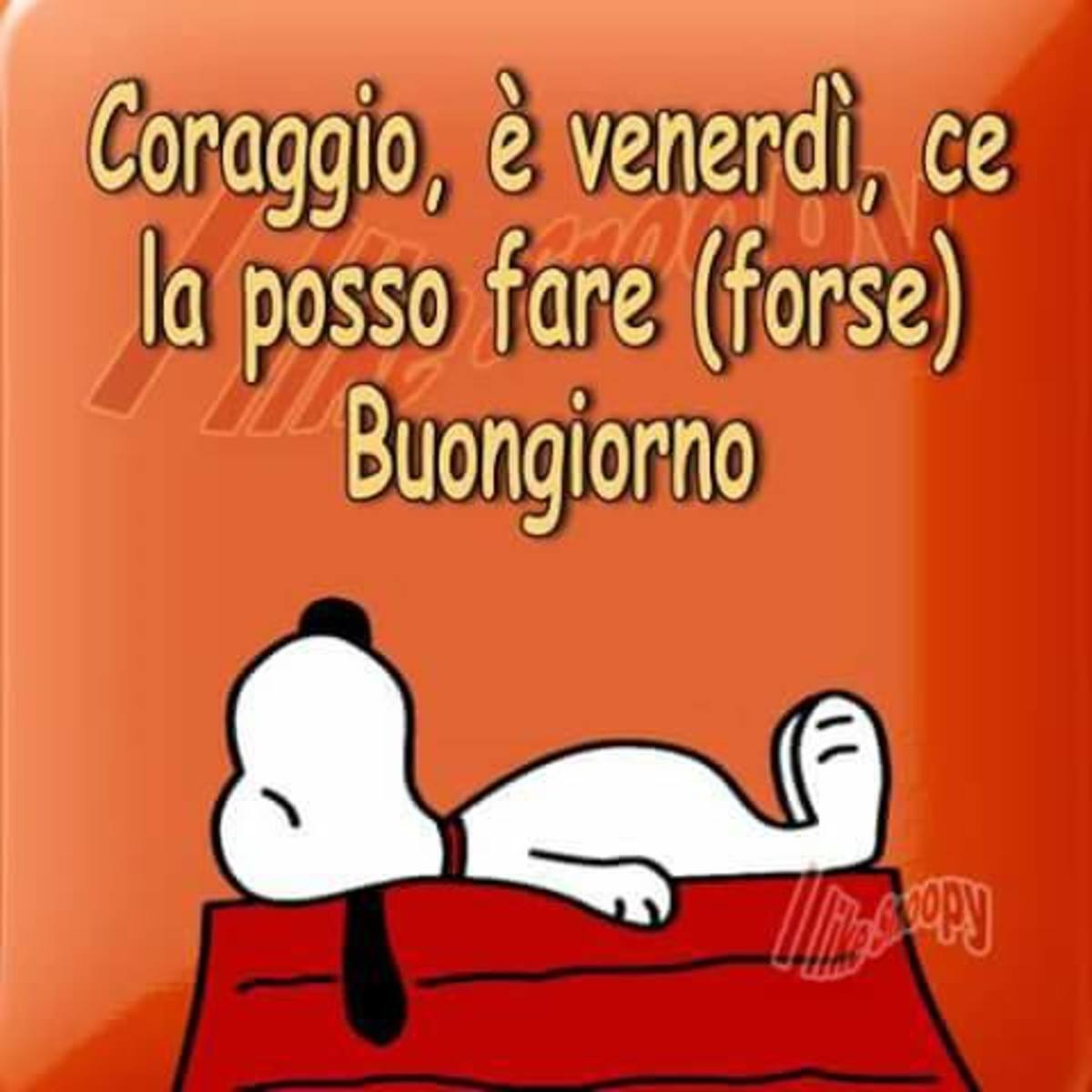 Buon Venerdì a tutti gli amici 3903