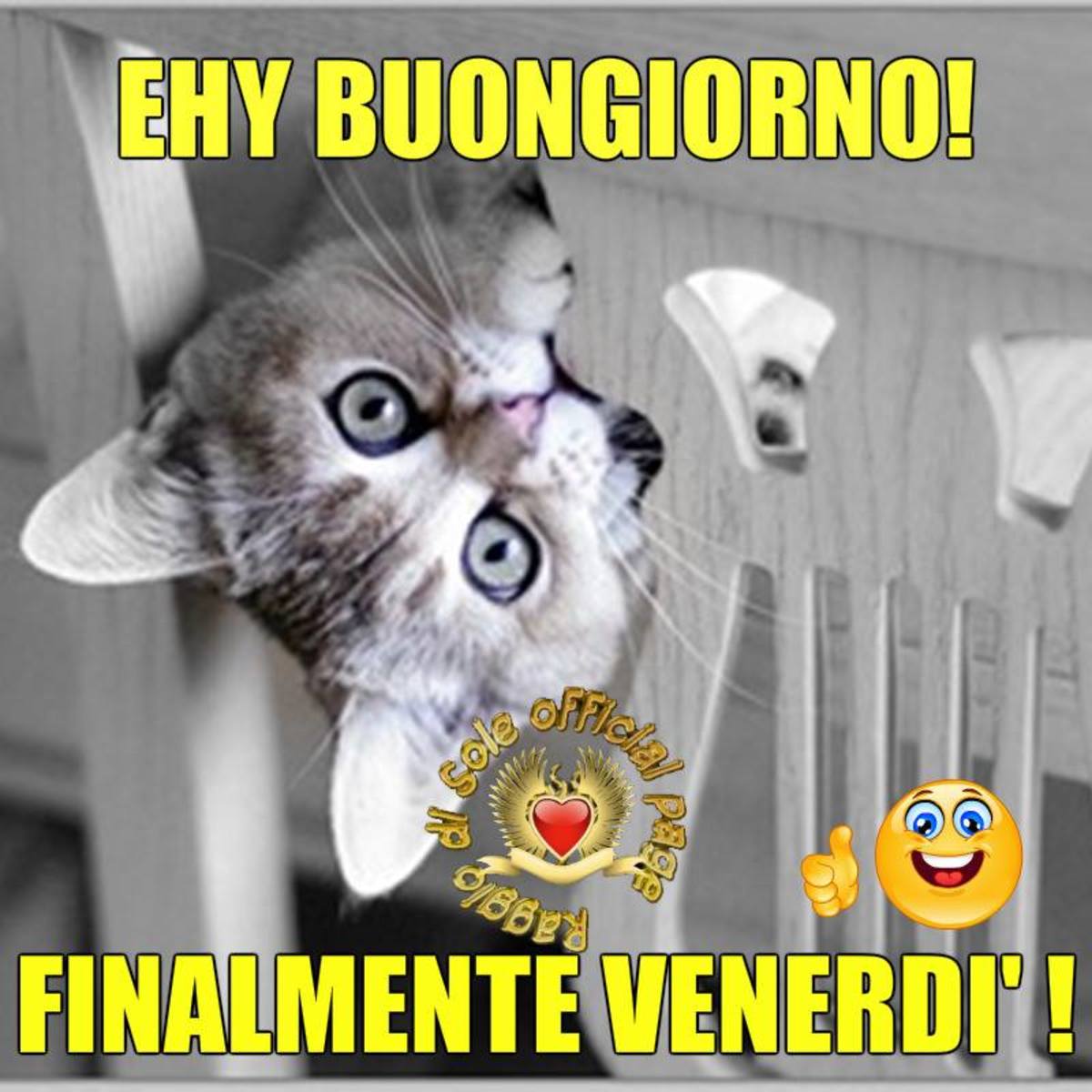 Buon Venerdì a tutti gli amici 3936