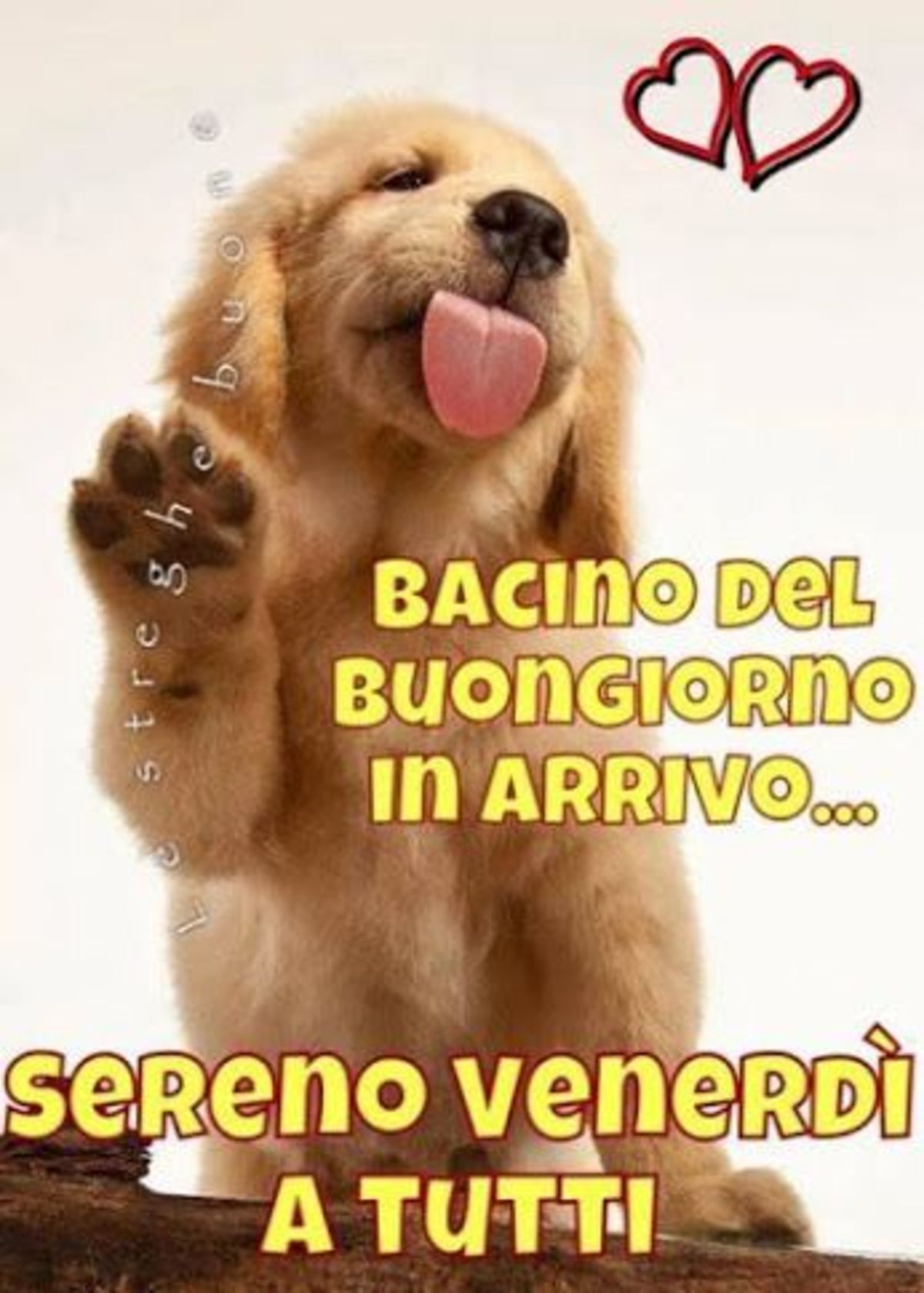 Buon Venerdì a tutti gli amici 401