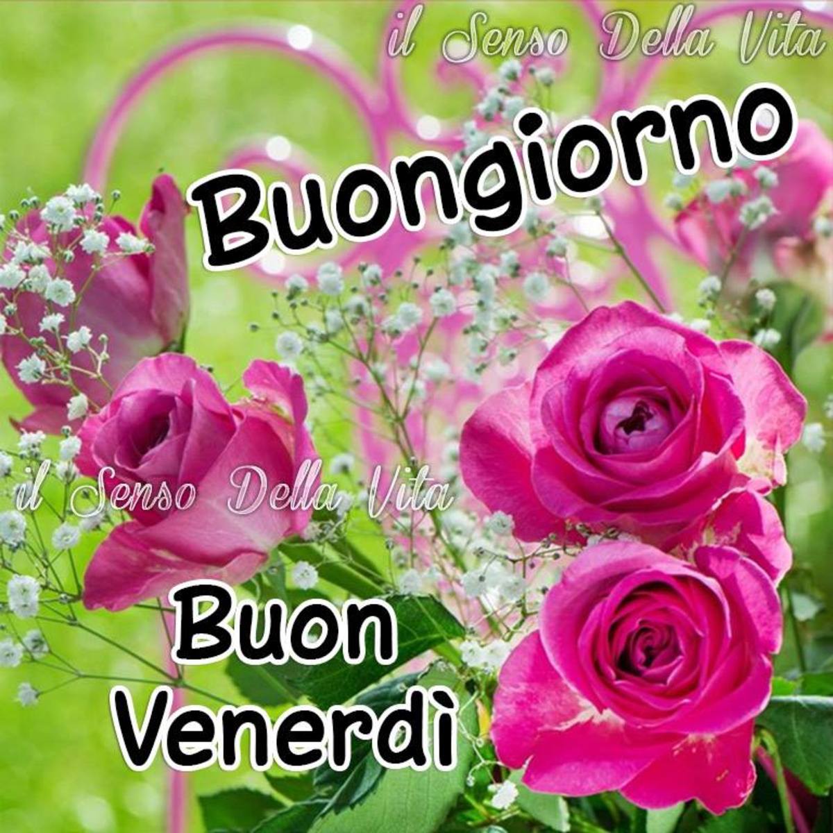 Buon Venerdì con i fiori