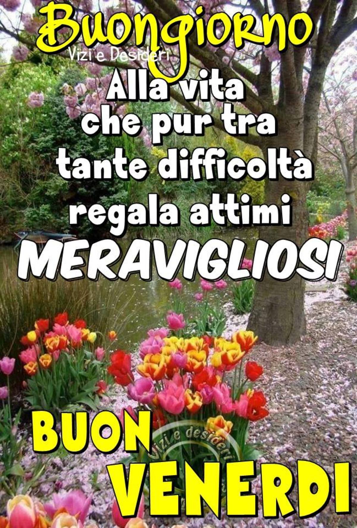 Buon Venerdì immagini da condividere gratis 7574