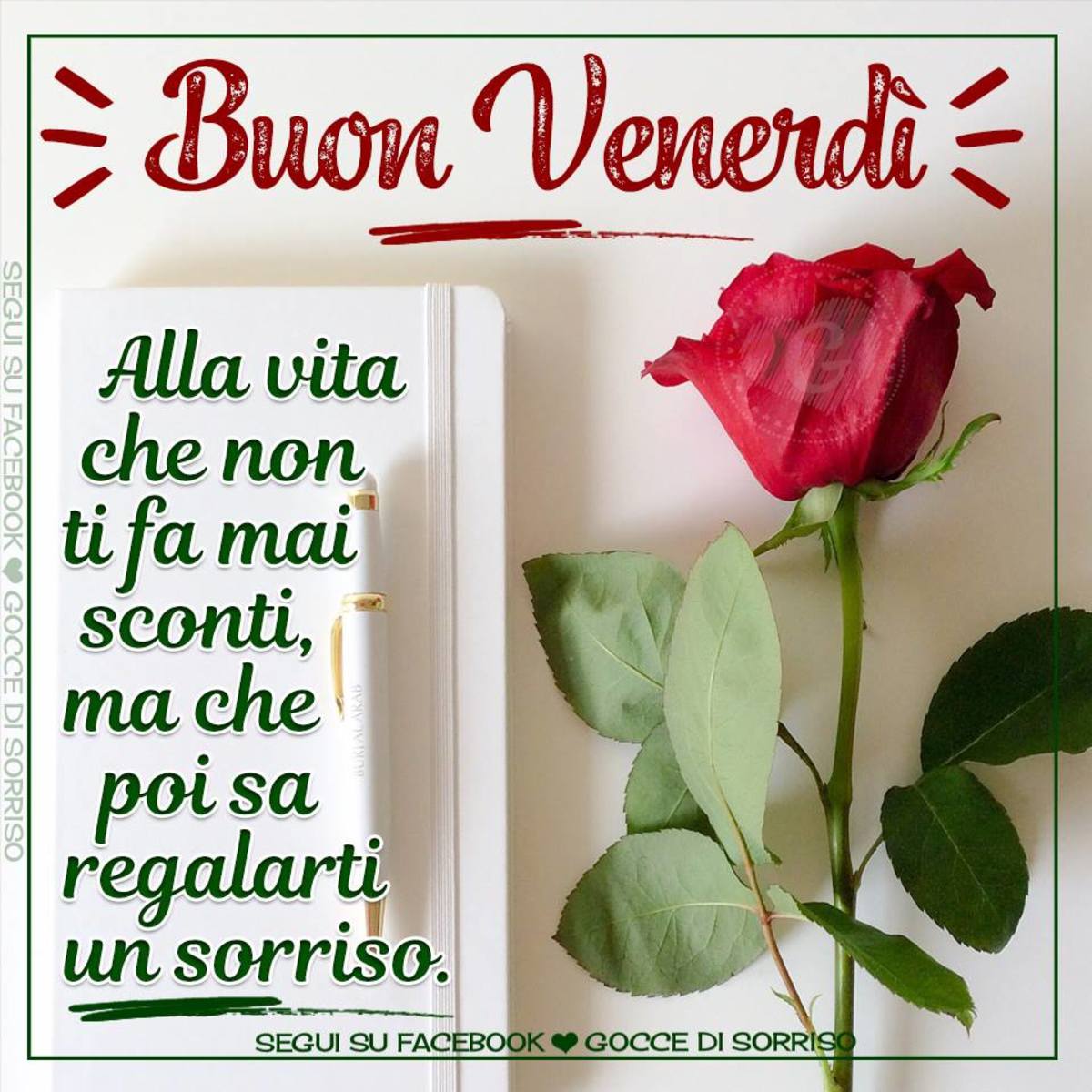 Buon venerdì con rosa rossa