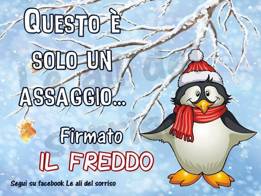 Che freddo che fa 8011