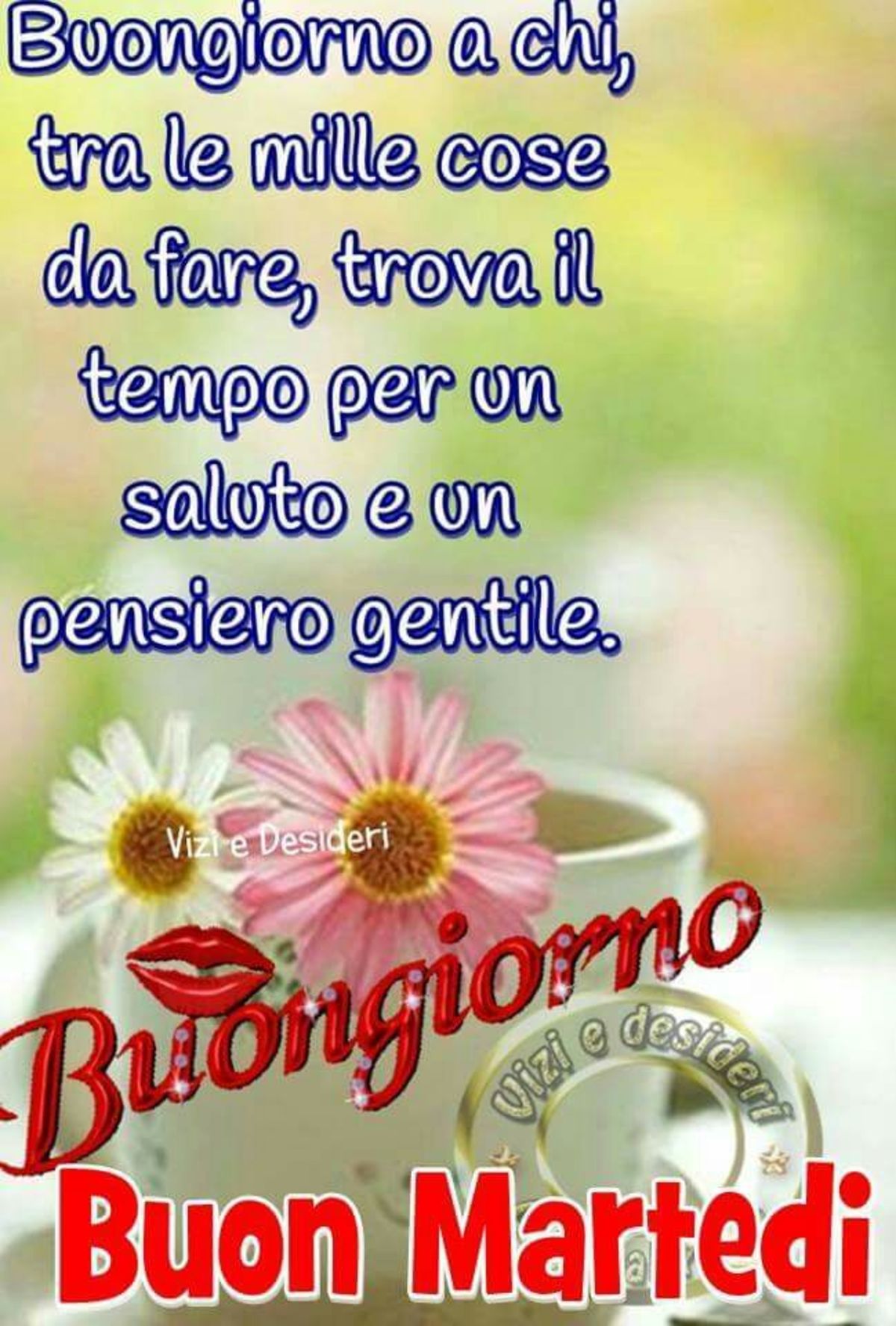 Frasi per Martedì