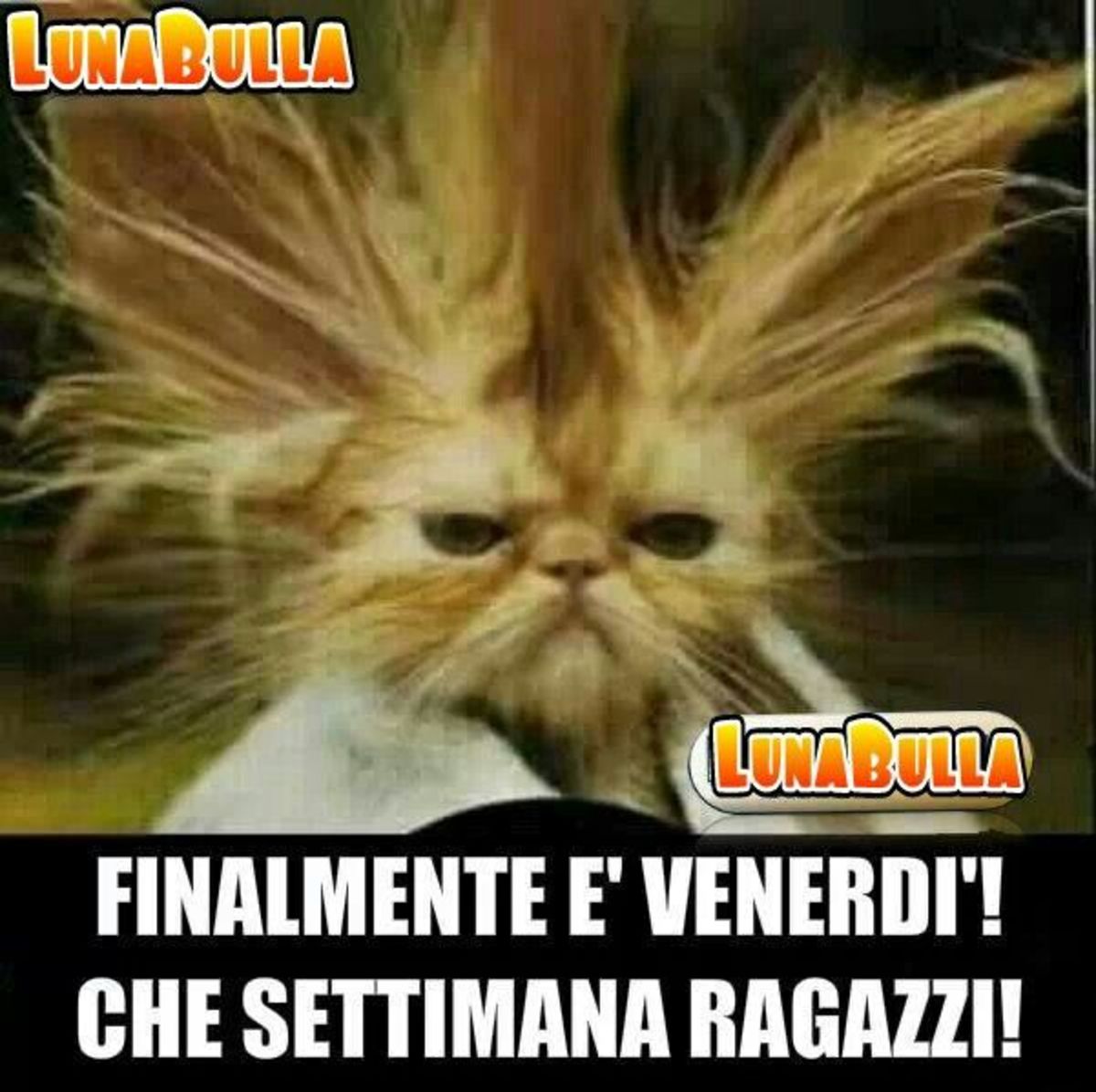 Immagini WhatsApp Buon Venerdì 8994