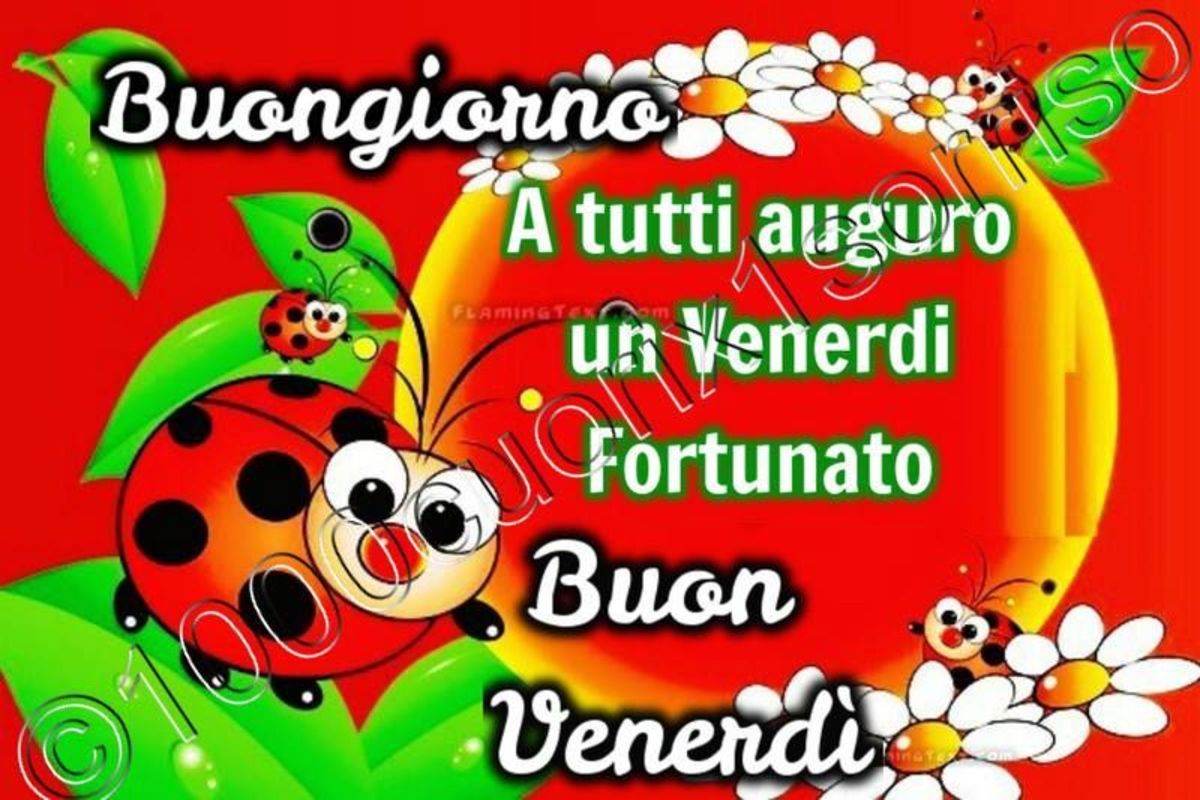 Immagini WhatsApp Buon Venerdì 9063