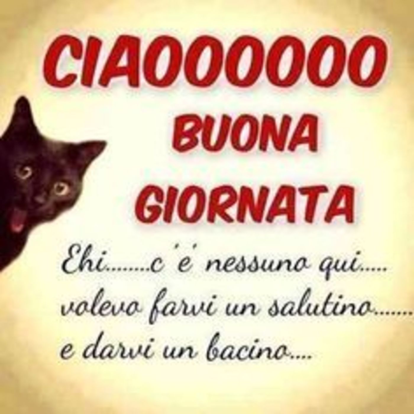 Immagini Per Buongiorno Con Gli Animali Buongiornissimocaffe It