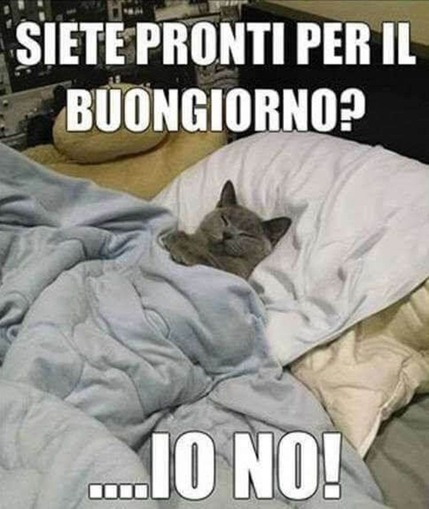 Immagini simpatiche per buongiorno 2