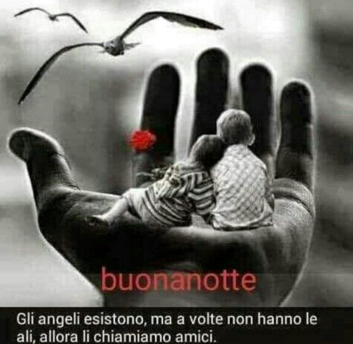 Buonanotte Facebook 8403