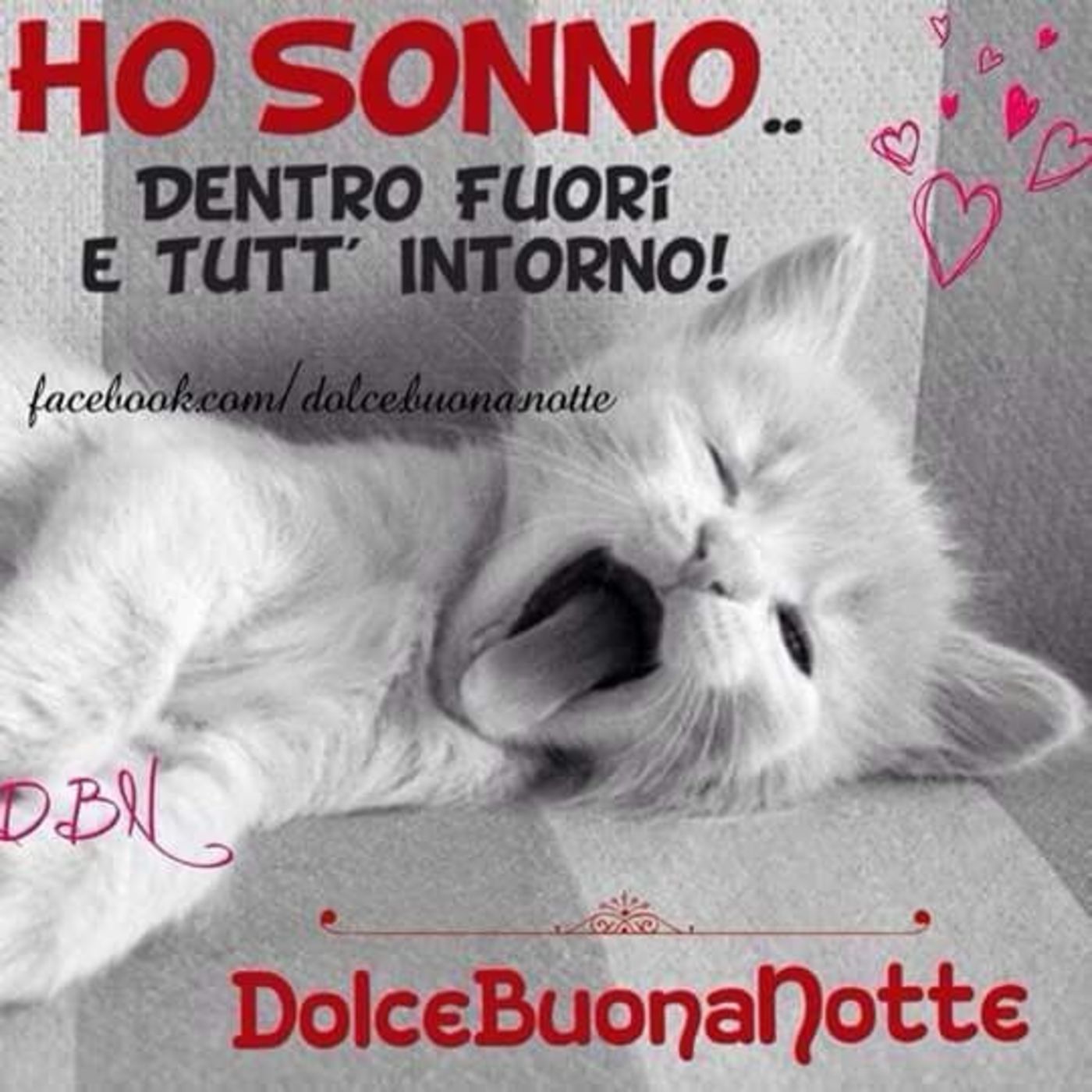 Buonanotte frasi e immagini bellissime 8974