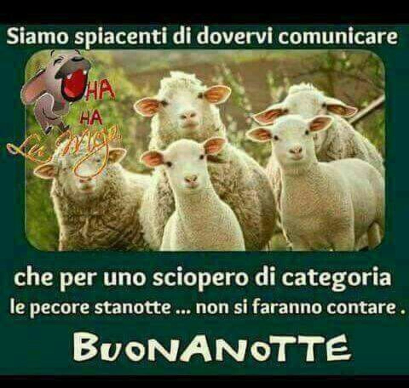 Buonanotte immagini divertenti