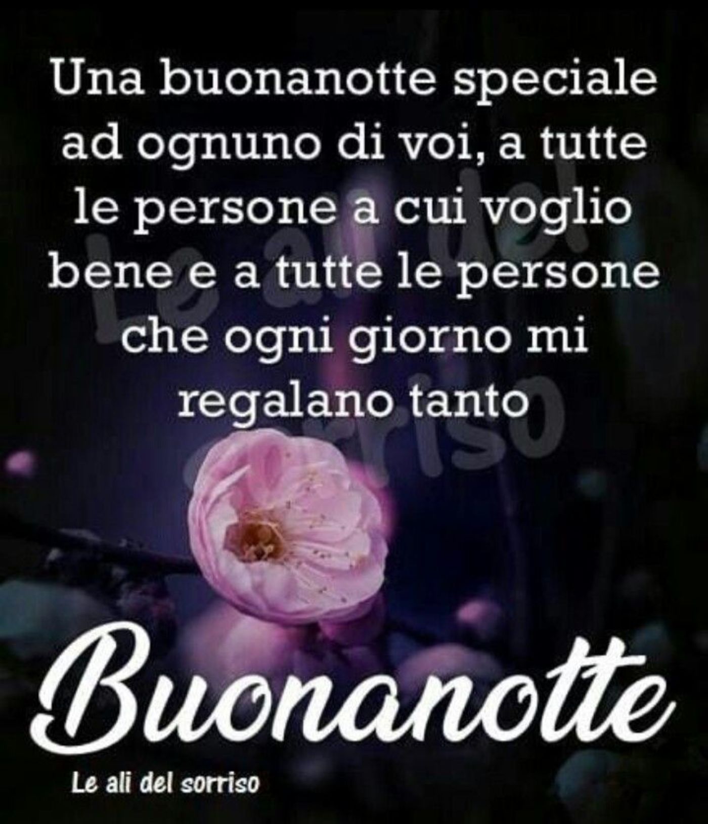 Immagini con frasi per Buonanotte 10