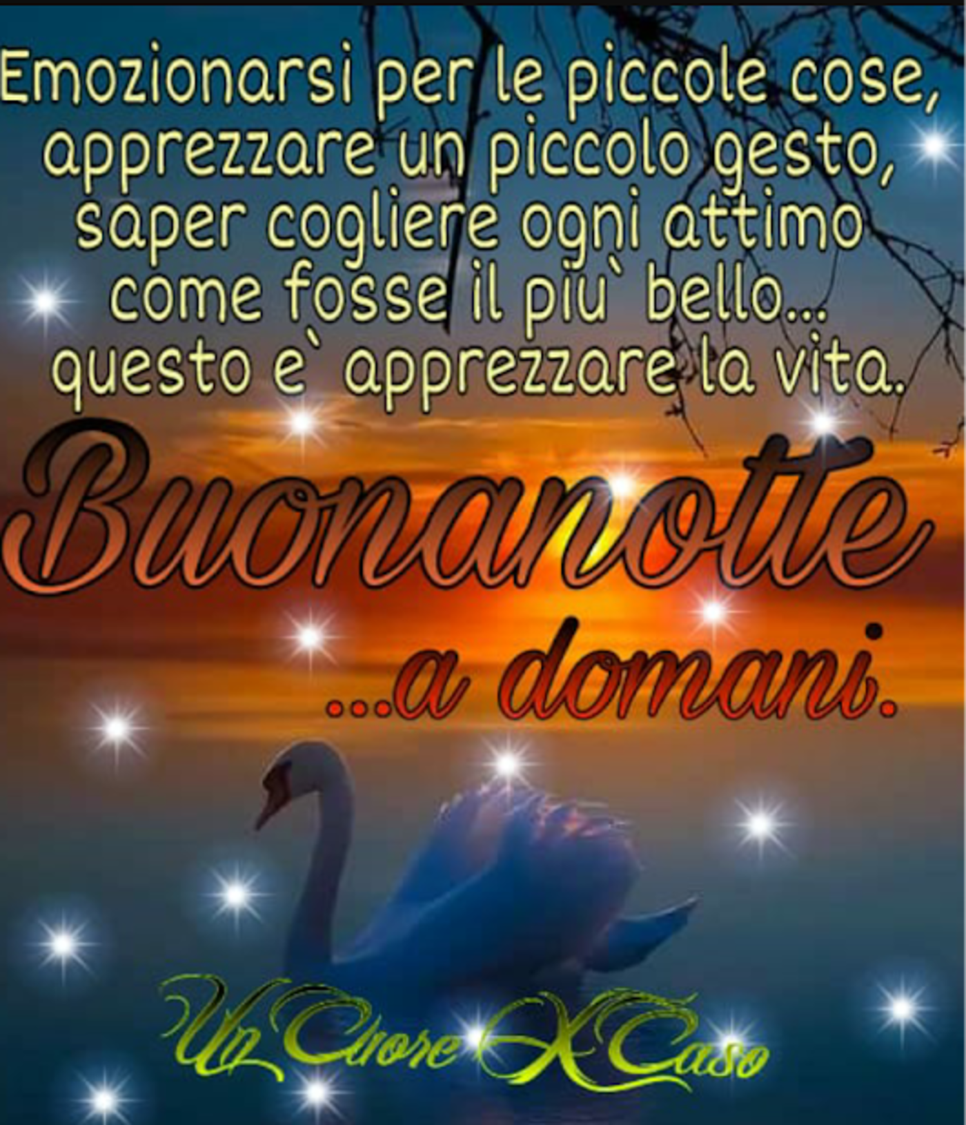 Immagini con frasi per Buonanotte 4