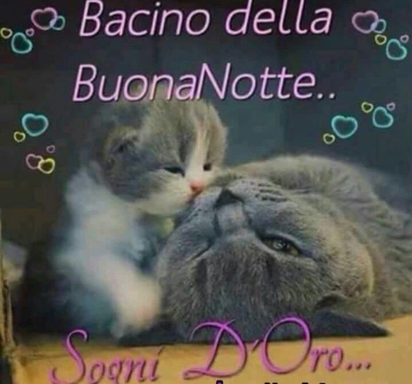 Immagini per Buonanotte Gruppo Facebook 8616