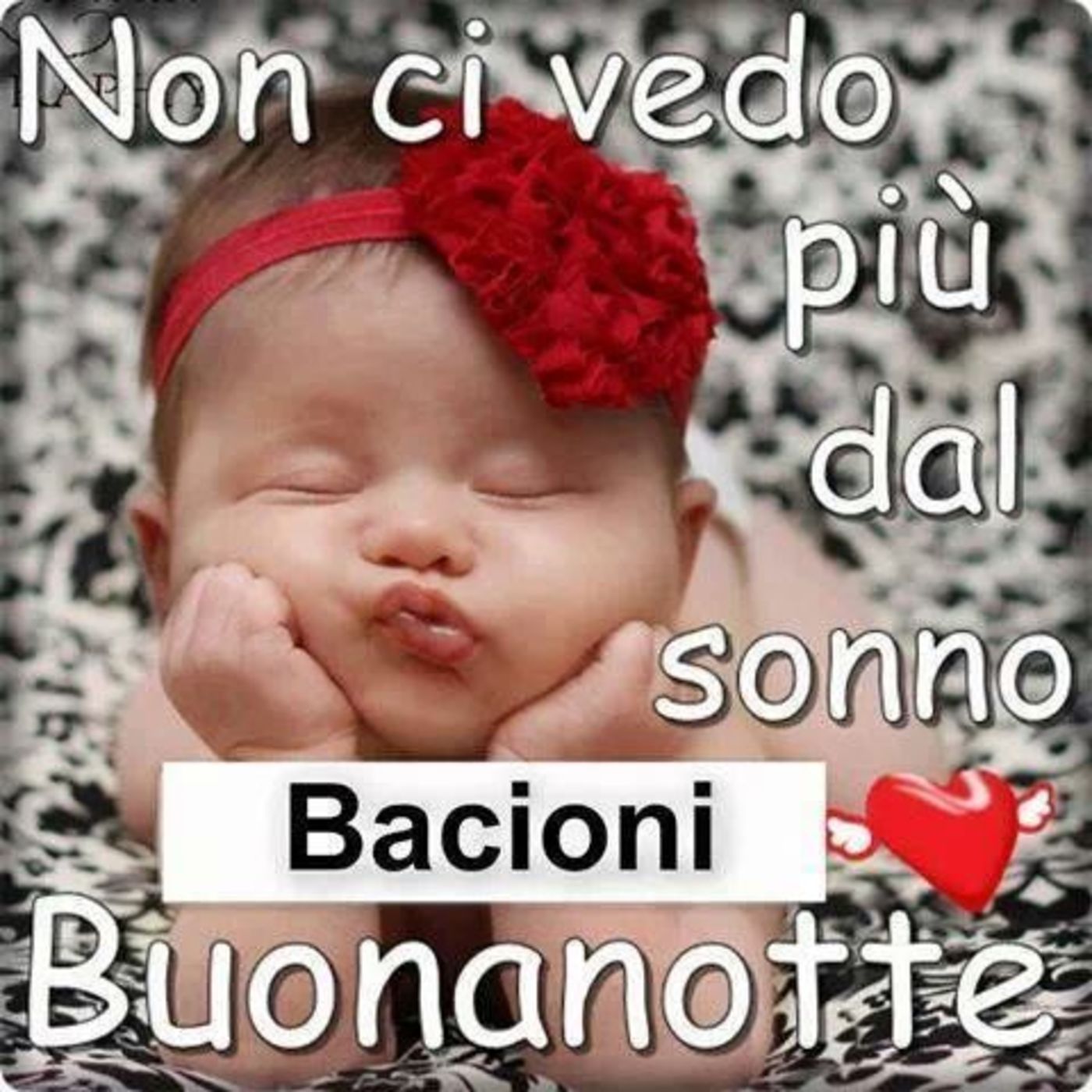 Immagini per Buonanotte Gruppo Facebook 862