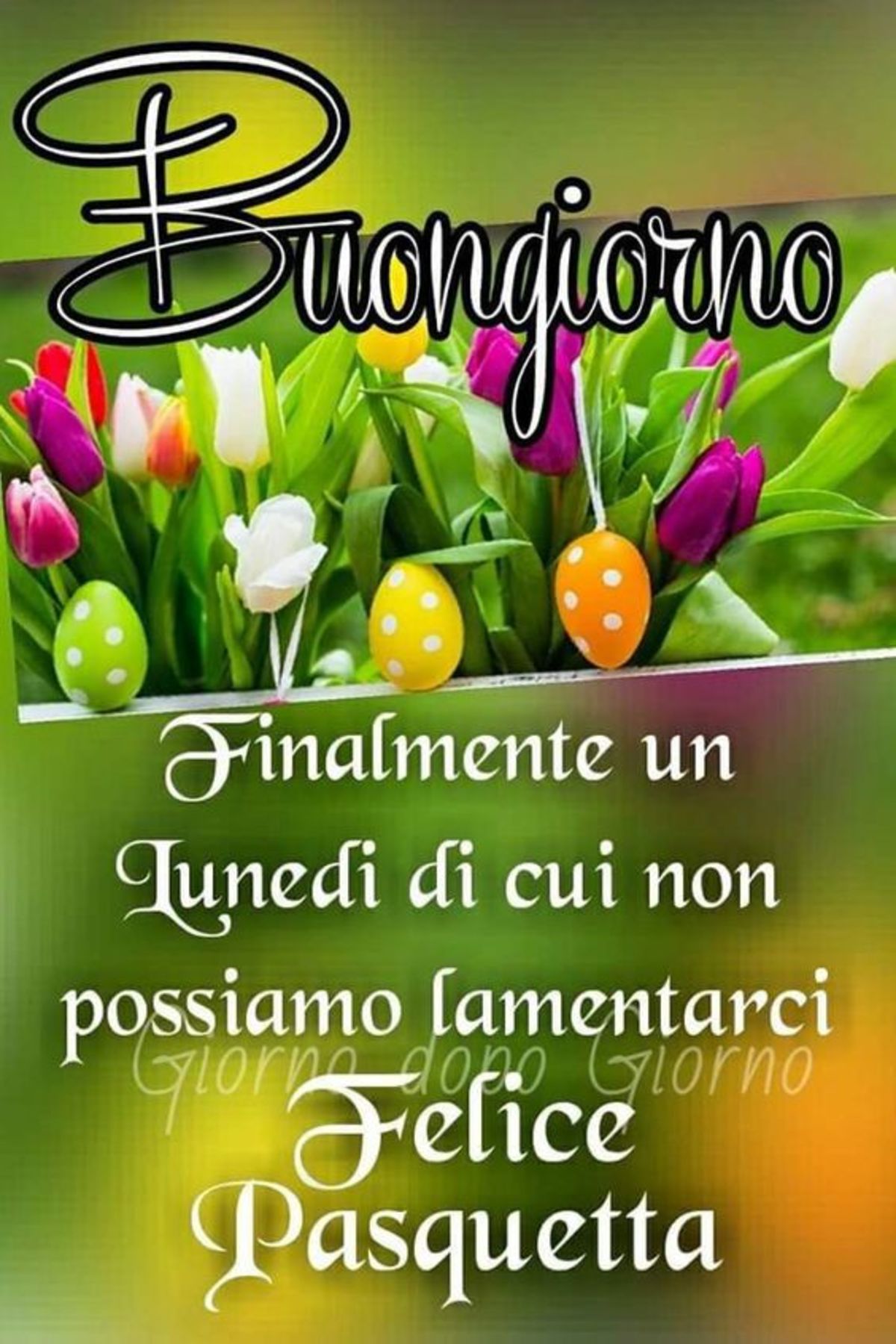 Immagini Facebook Buona Pasquetta 212