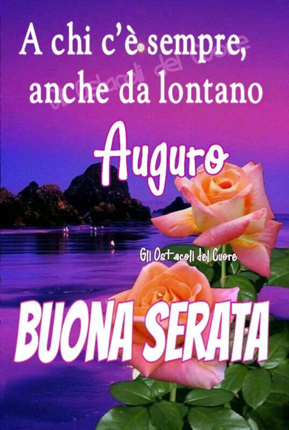 Buona serata con le rose